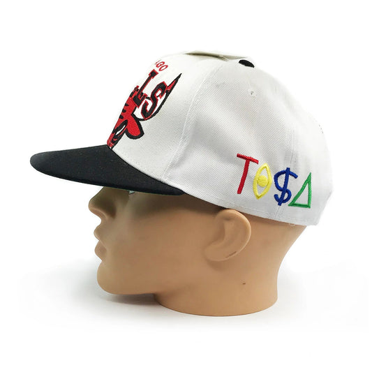 Chicago Bulls Cropped Logo TISA Embroidered Snapback Hat NEW