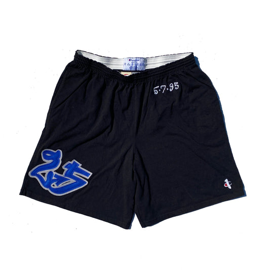 1/1 Orlando Magic Nick Anderson PE Champion Shorts 1995