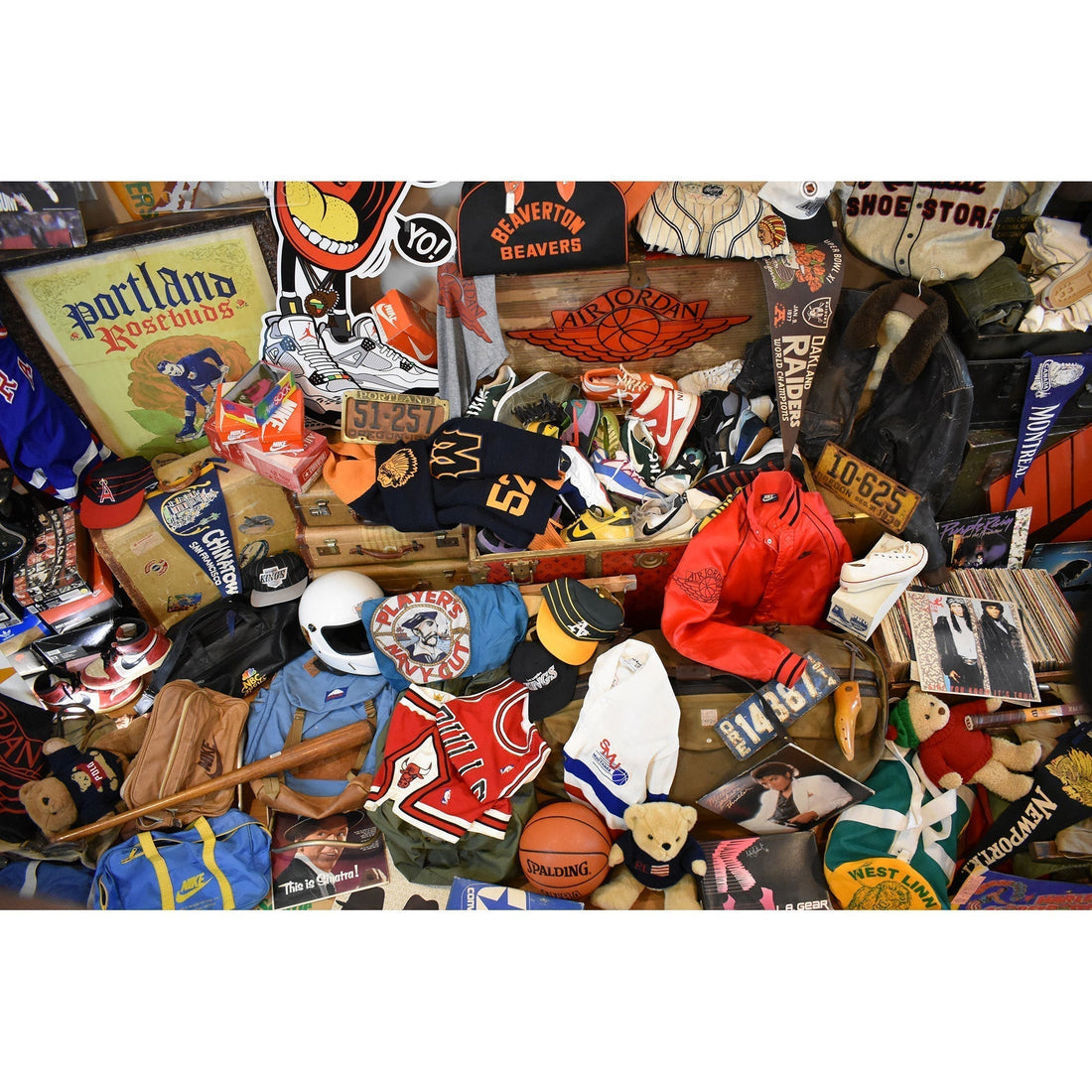Dr. Funk's History & Background