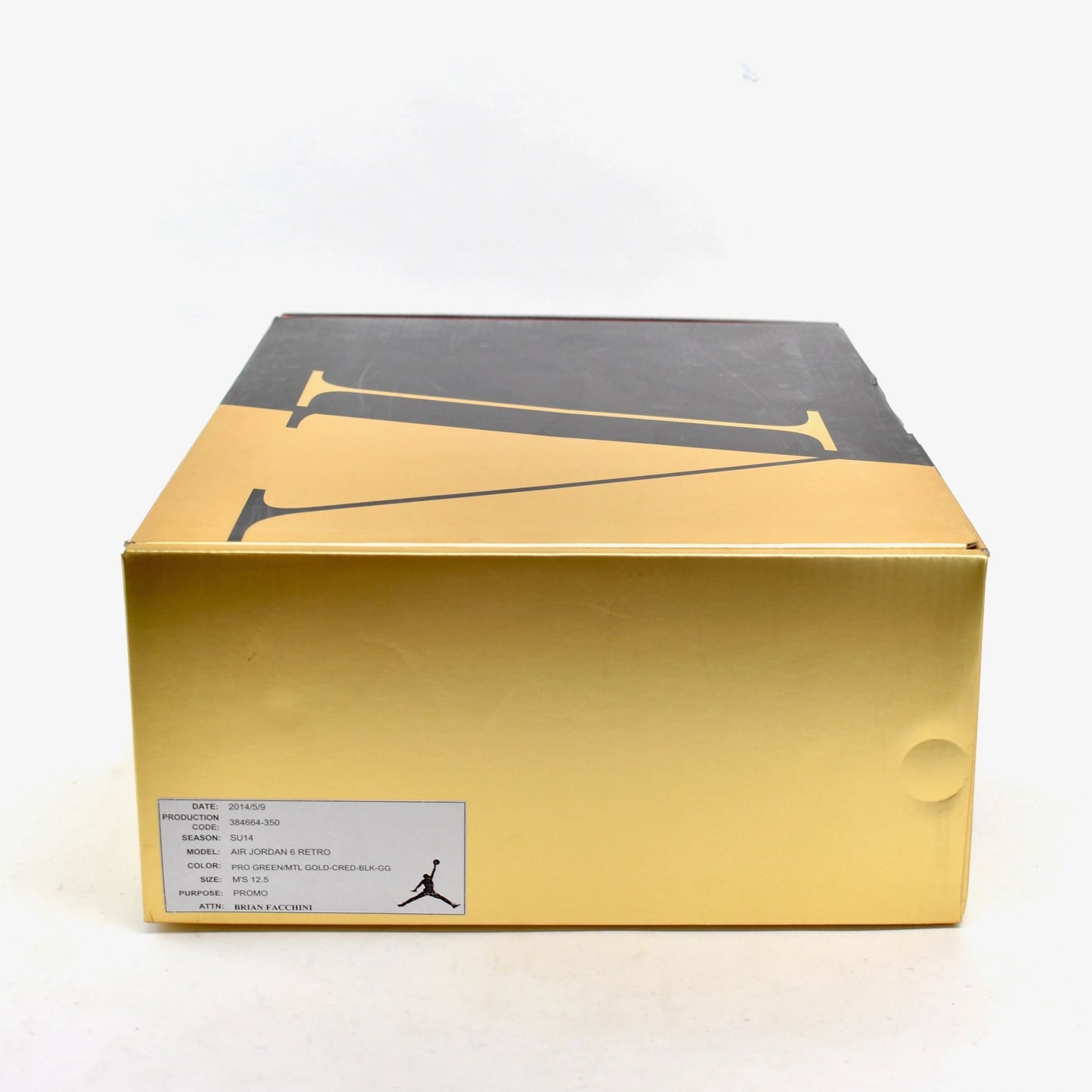 Nike Air Jordan 6 VI Champagne Promo Sample NEW Size 12.5