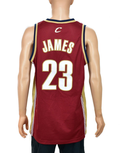 Lebron James Cleveland Cavaliers Nike Swingman Jersey Size Large