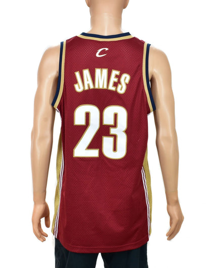 Lebron James Cleveland Cavaliers Nike Swingman Jersey Size Large