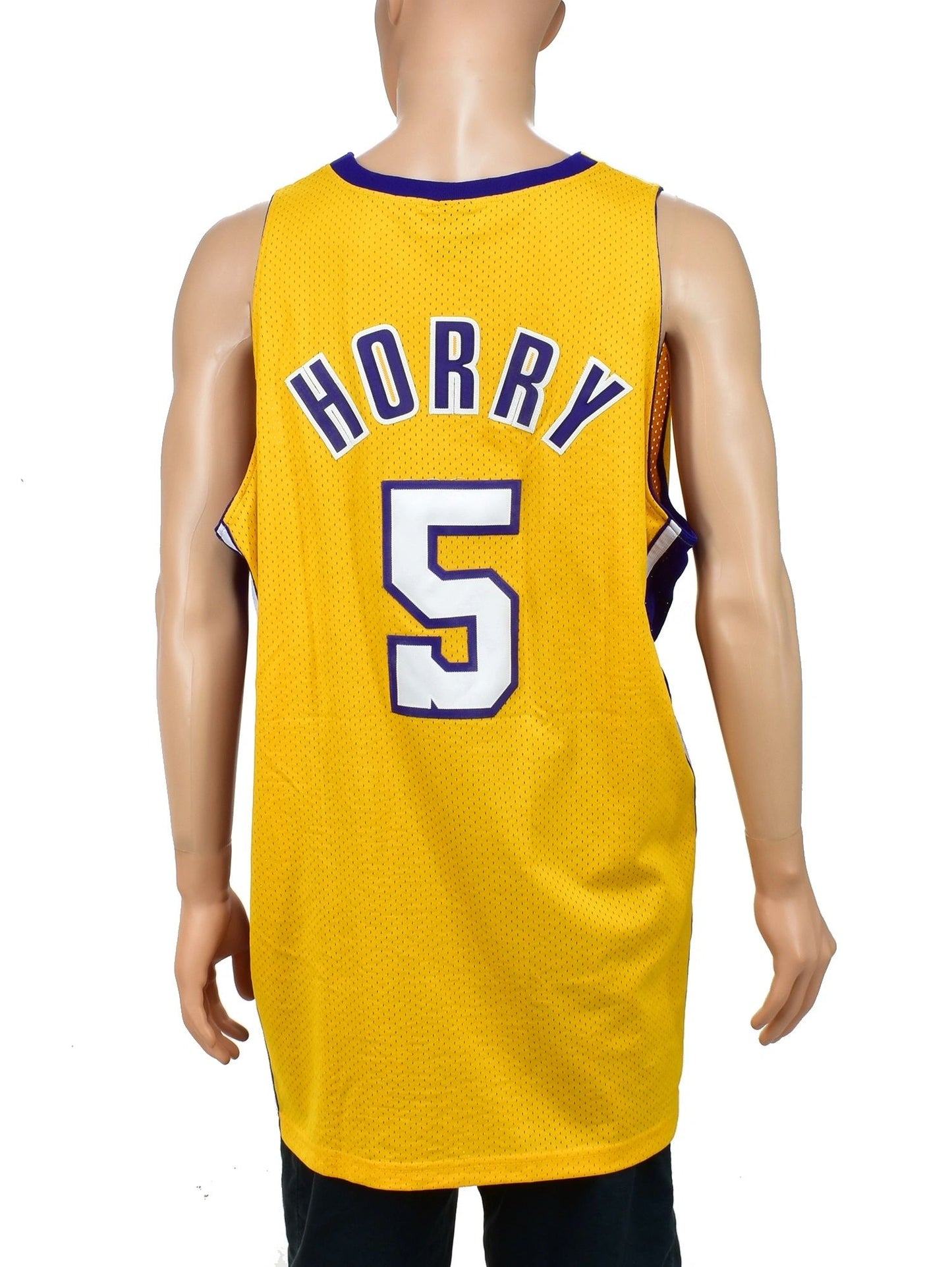 Los Angeles Lakers Robert Horry Nike Swingman Jersey