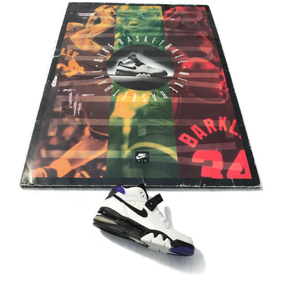 Nike Air Jordan 8 VIII /Barkley Air Force Max 93 Niketown Display