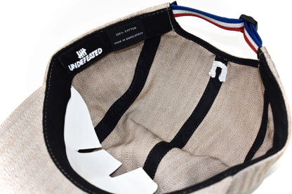 NEW Undefeated Herringbone 5-Panel Hat