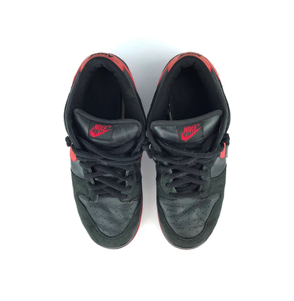 Nike Dunk Low SB 2003 Black/True Red Vamps Size 10.5