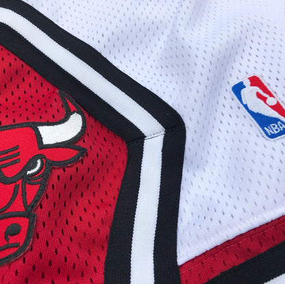 Chicago Bulls Nike Authentic NBA Double Mesh Shorts Size 36