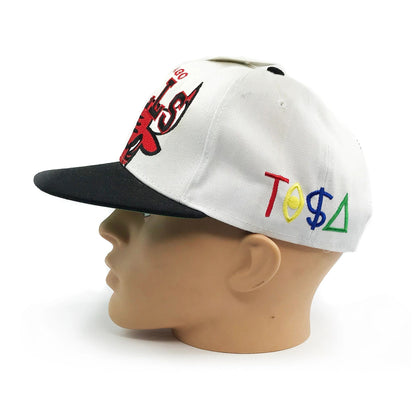 Chicago Bulls Cropped Logo TISA Embroidered Snapback Hat NEW