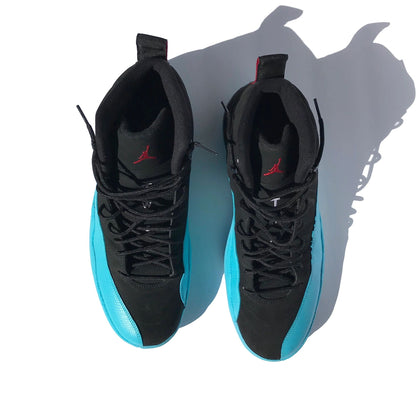 Nike Air Jordan 12 XII Gamma Blue 2003 Size 12