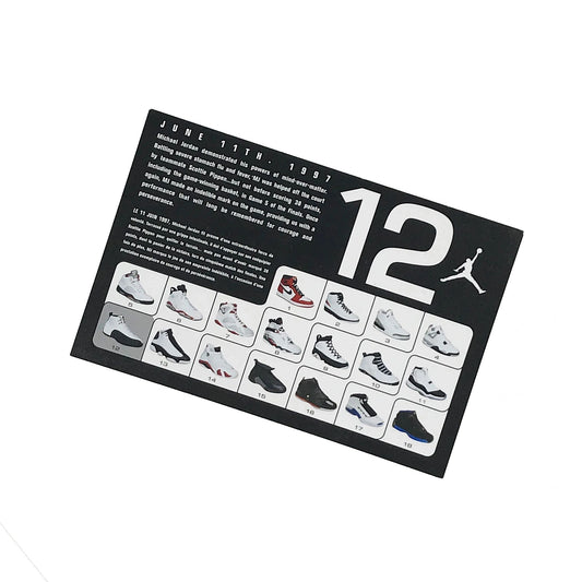 Nike Air Jordan 12 XII Taxi Retro Card
