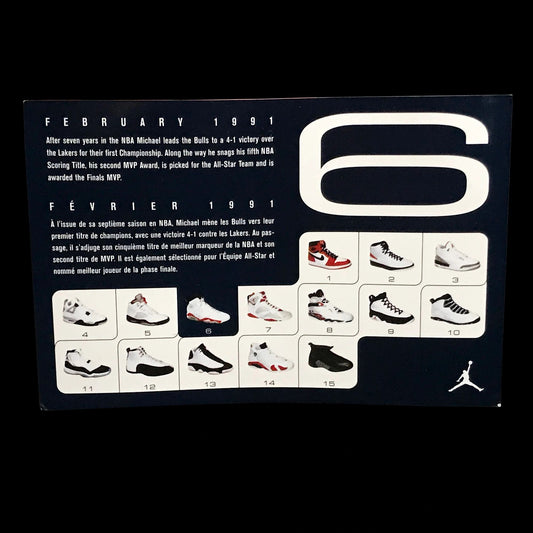 Nike Air Jordan 6 VI 2000 Retro Card