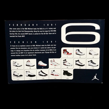 Nike Air Jordan 6 VI 2000 Retro Card