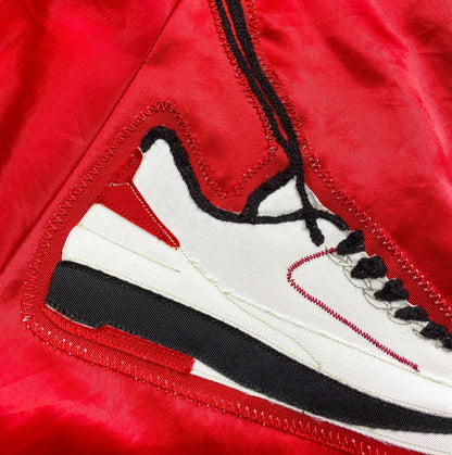 1/1 Nike Air Jordan 2 Shoes Over Shoulders Jacket