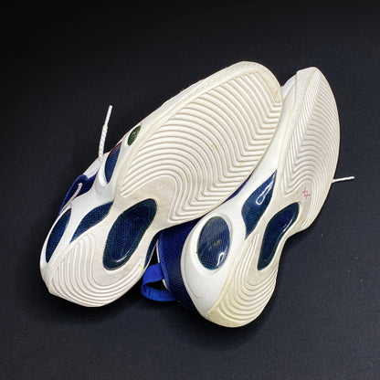 Nike Air Zoom Flight 95 Royal OG 1995 Release Size 16