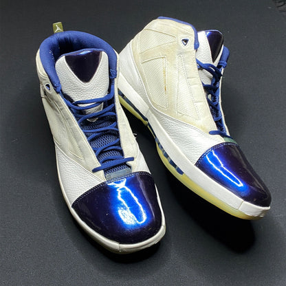 Nike Air Jordan 16 XVI Darius Miles PE Samples Clippers