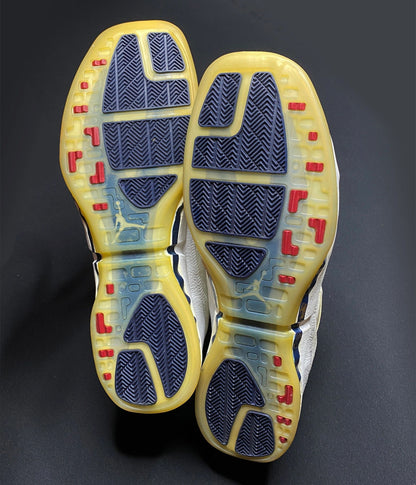 Nike Air Jordan 16 XVI Darius Miles PE Samples Clippers
