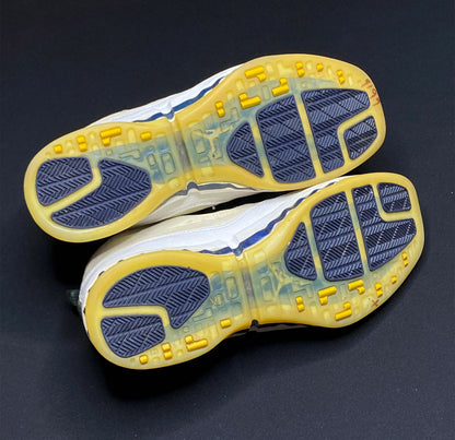 Nike Air Jordan 16 XVI Reggie Miller PE Samples Pacers