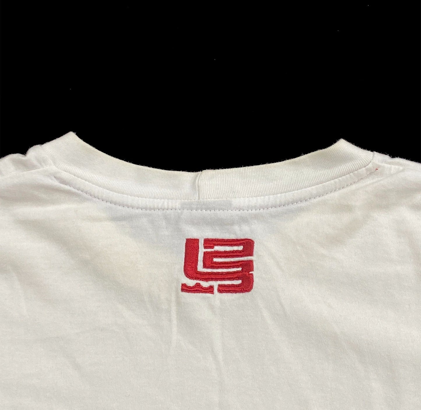 Nike Lebron James Premium 2000s T-Shirt