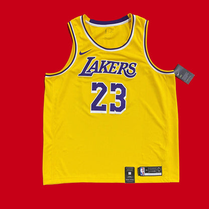 Los Angeles Lakers Lebron James Nike Icon Jersey NEW