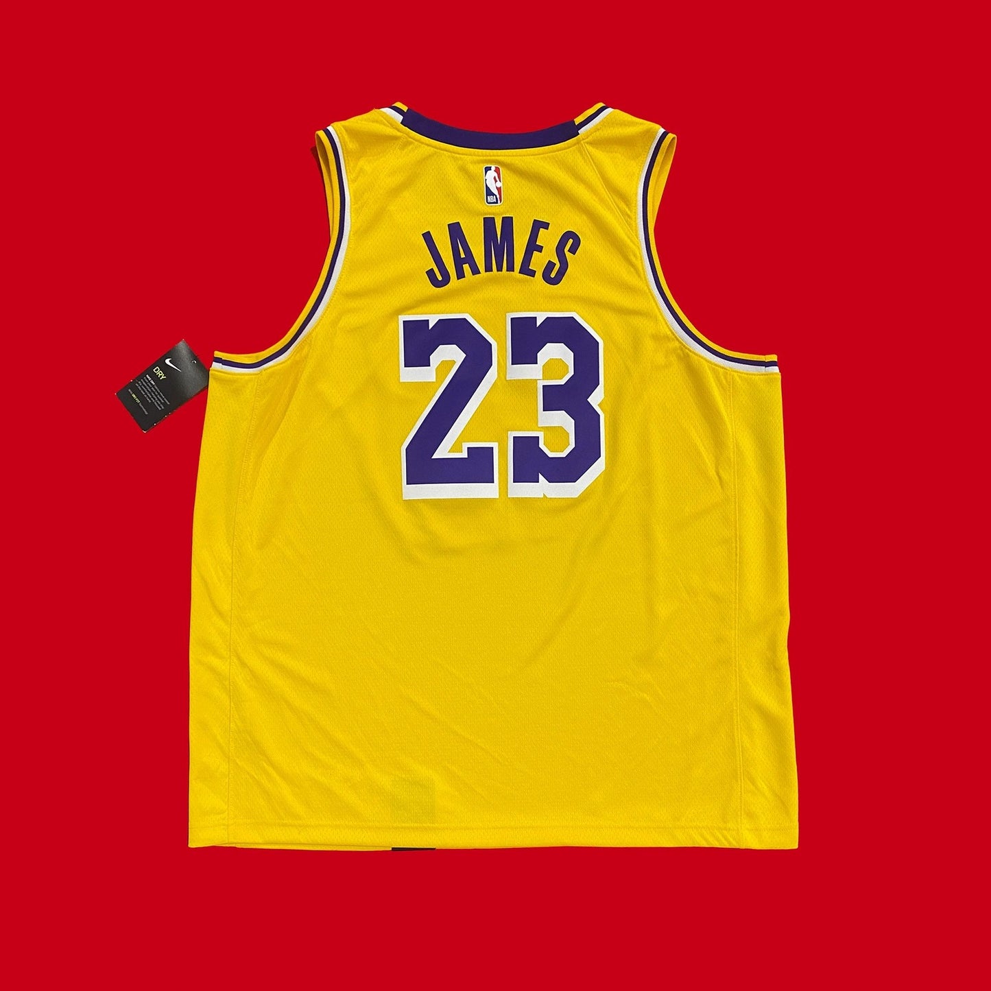 Los Angeles Lakers Lebron James Nike Icon Jersey NEW