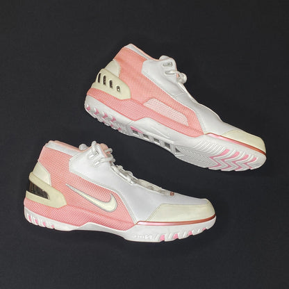 Nike Air Lebron 1 Zoom Generation "Gloria" Pink Samples Sz 14