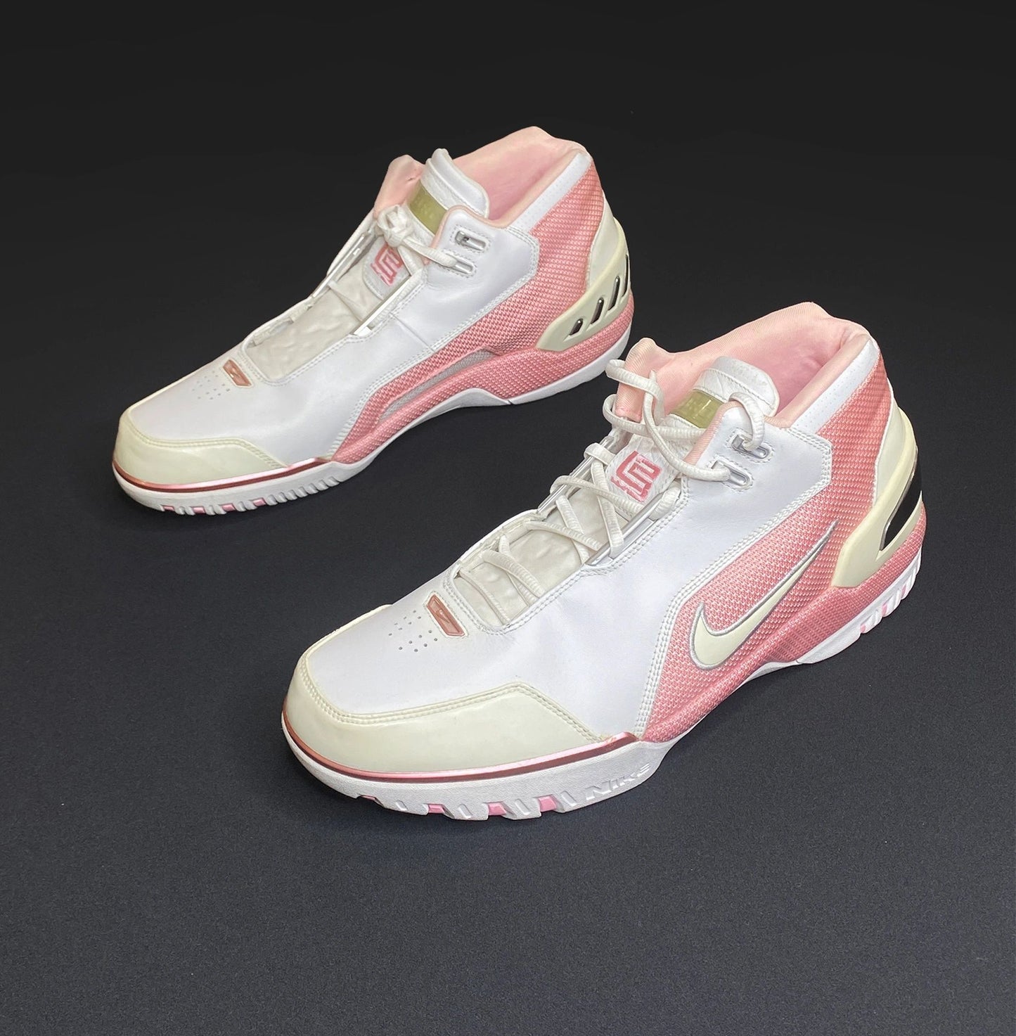 Nike Air Lebron 1 Zoom Generation "Gloria" Pink Samples Sz 14