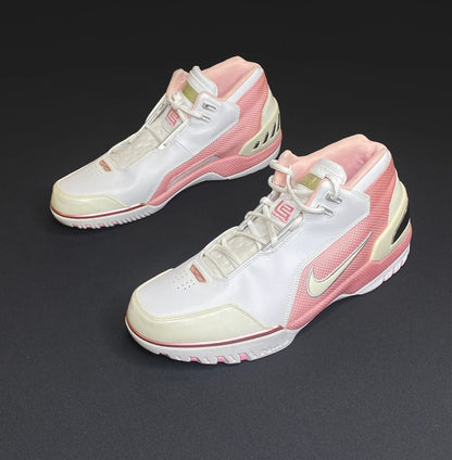 Nike Air Lebron 1 Zoom Generation "Gloria" Pink Samples Sz 14
