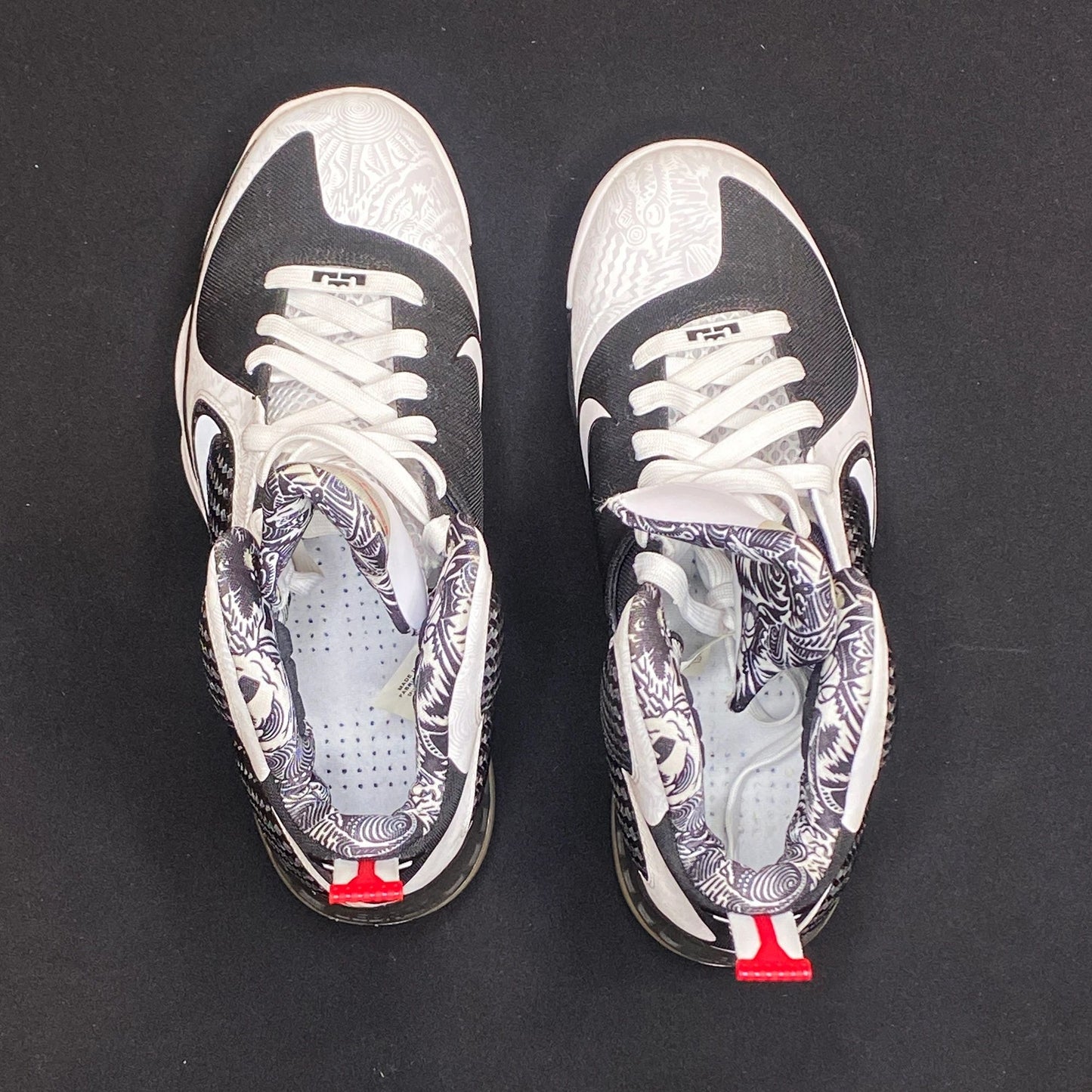 Nike Air Lebron 9 Look See Alternate Samples Size 9