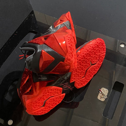 Nike Air Lebron 11 Away Special Packaging Size 14