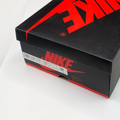Nike Air Jordan 1 Tokyo Bio Hack Size 10.5