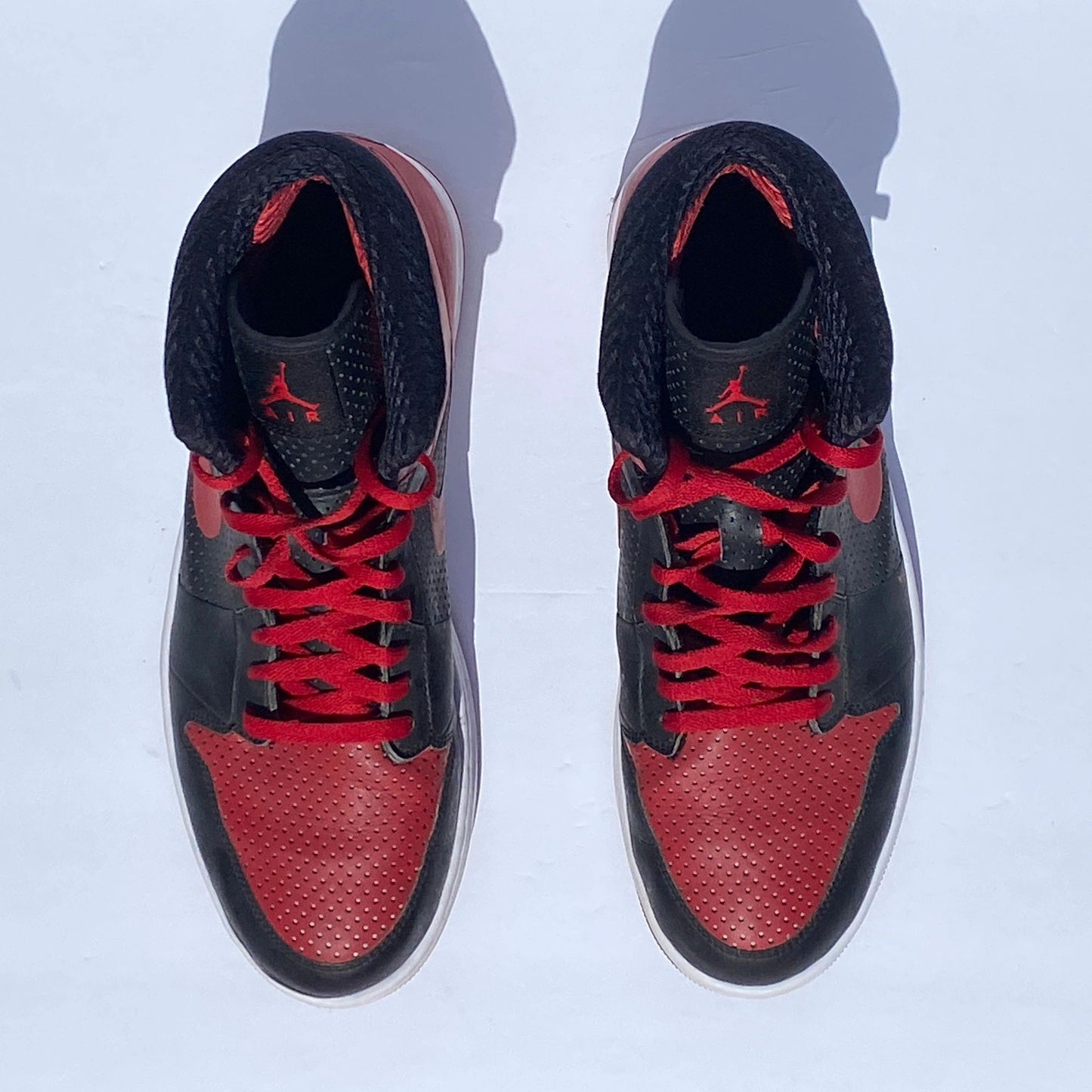 Nike Air Jordan 1 Alpha Zoom Air 2010 Sample