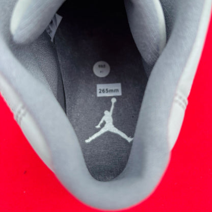 Nike Air Jordan 11 XI Cool Gray NEW Size 8.5