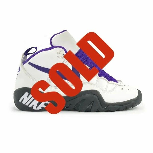 Nike Air Rattle Ndestrukt PE Olden Polynice Player SAMPLE Shoes Size 16